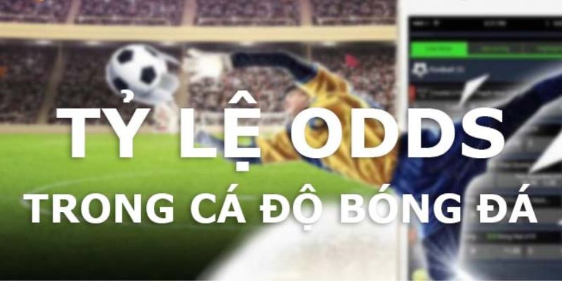 Odds là gì? Khám phá 4 loại tỷ lệ Odds phổ biến cùng OK9 5 4 loại Odds được sử dụng nhiều nhất trong cá độ bóng đá