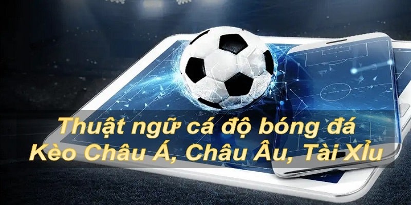 Thống Kê Các Thuật Ngữ Cá Độ Bóng Đá Tại Nhà Cái OK9 6 Ghi nhớ một vài tỷ lệ cược khác tại nhà cái