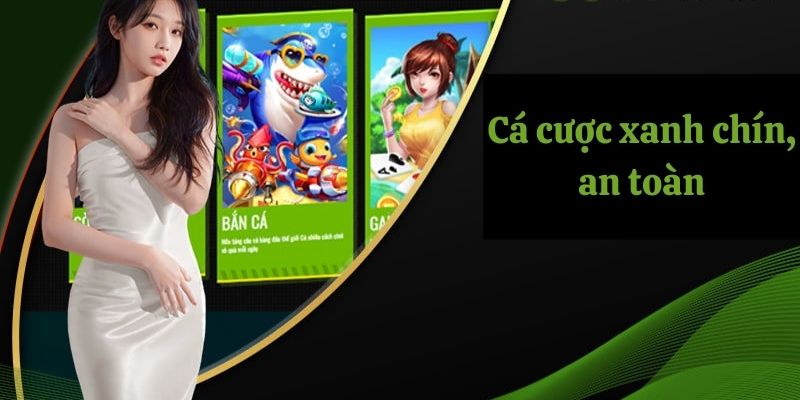 Đăng Ký OK9 - Thả Ga Giải Trí Trực Tuyến Xanh Chín 7 Cá cược online xanh chín, an toàn