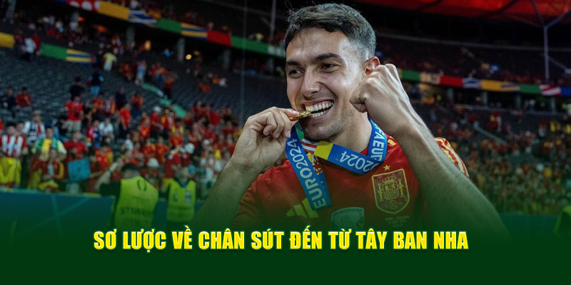 Zubimendi - Tin Hot Chuyển Nhượng Của Chân Sút TBN 4 Sơ lược về chân sút đến từ Tây Ban Nha