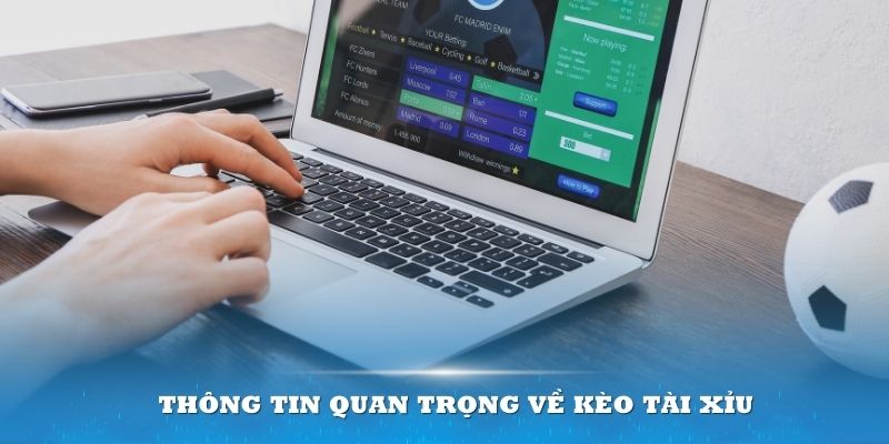 Kèo Tài Xỉu Là Gì? Cách Chơi Đơn Giản Bậc Nhất 2024 5 Am hiểu các thông tin quan trọng về kèo Tài Xỉu sẽ là lợi thế lớn dành cho bạn